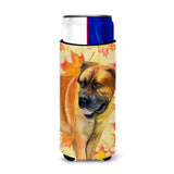 Caroline'S Treasures Boerboel Mastiff Fall Decorative Can Hugger, Slim, Multicolor
