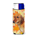 Caroline'S Treasures Dachshund Fall Decorative Can Hugger, Slim, Multicolor