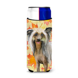 Caroline'S Treasures Chinese Crested Fall Decorative Can Hugger, Slim, Multicolor
