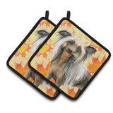 Caroline'S Treasures Chinese Crested Decorated Pot Holder, 7.5H X 7.5W, Fall Leaves