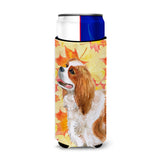 Caroline'S Treasures Cavalier Spaniel Fall Decorative Can Hugger, Slim, Multicolor