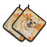 Caroline'S Treasures Golden Retriever Decorated Pot Holder, 7.5H X 7.5W, Fall Leaves