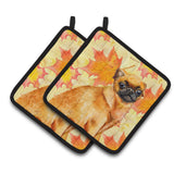 Caroline'S Treasures Small Brabant Griffon Decorated Pot Holder, 7.5H X 7.5W, Fall Leaves