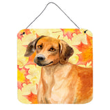 Caroline'S Treasures Rhodesian Ridgeback Metal Print, 6H X 6W, Fall Leaves