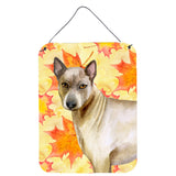 Caroline'S Treasures Thai Ridgeback Fall Metal Print, 16 X 12, Multicolor