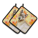 Caroline'S Treasures Thai Ridgeback Decorated Pot Holder, 7.5H X 7.5W, Fall Leaves