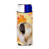 Caroline'S Treasures Pekingese Fall Decorative Can Hugger, Slim, Multicolor