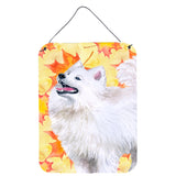Caroline'S Treasures Samoyed Fall Metal Print, 16 X 12, Multicolor