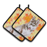 Caroline'S Treasures Siberian Husky Grey Decorated Pot Holder, 7.5H X 7.5W, Fall Leaves