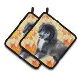 Caroline'S Treasures Newfoundland Puppy Decorated Pot Holder, 7.5H X 7.5W, Fall Leaves
