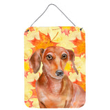 Caroline'S Treasures Red Dachshund Fall Metal Print, 16 X 12, Multicolor
