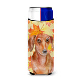 Caroline'S Treasures Red Dachshund Fall Decorative Can Hugger, Slim, Multicolor