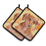 Caroline'S Treasures Red Dachshund Decorated Pot Holder, 7.5H X 7.5W, Fall Leaves