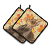 Caroline'S Treasures Doberman Pinscher Decorated Pot Holder, 7.5H X 7.5W, Fall Leaves
