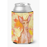Caroline'S Treasures Pharaoh Hound Fall Decorative Can Hugger, Multicolor
