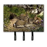 Caroline'S Treasures Rabbit Hole Leash Or Key Holder Bdba0136Th68, Triple, Multicolor