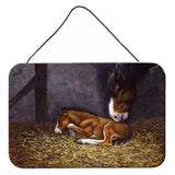 Caroline'S Treasures Horse And Her Foal Wall Or Door Hanging Prints Bdba0207Ds812, 8Hx12W