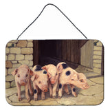 Caroline'S Treasures Pigs Piglets By Daphne Baxter Wall Or Door Hanging Prints Bdba0225Ds812, 8Hx12W, Multicolor