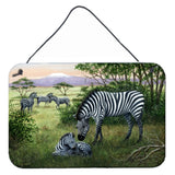 Caroline'S Treasures Zebras In The Field With Baby Wall Or Door Hanging Prints Bdba0385Ds812, 8Hx12W, Multicolor