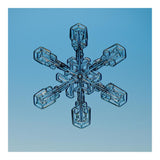 Snowflake Seen Through Microscope-Paper Art-20X20