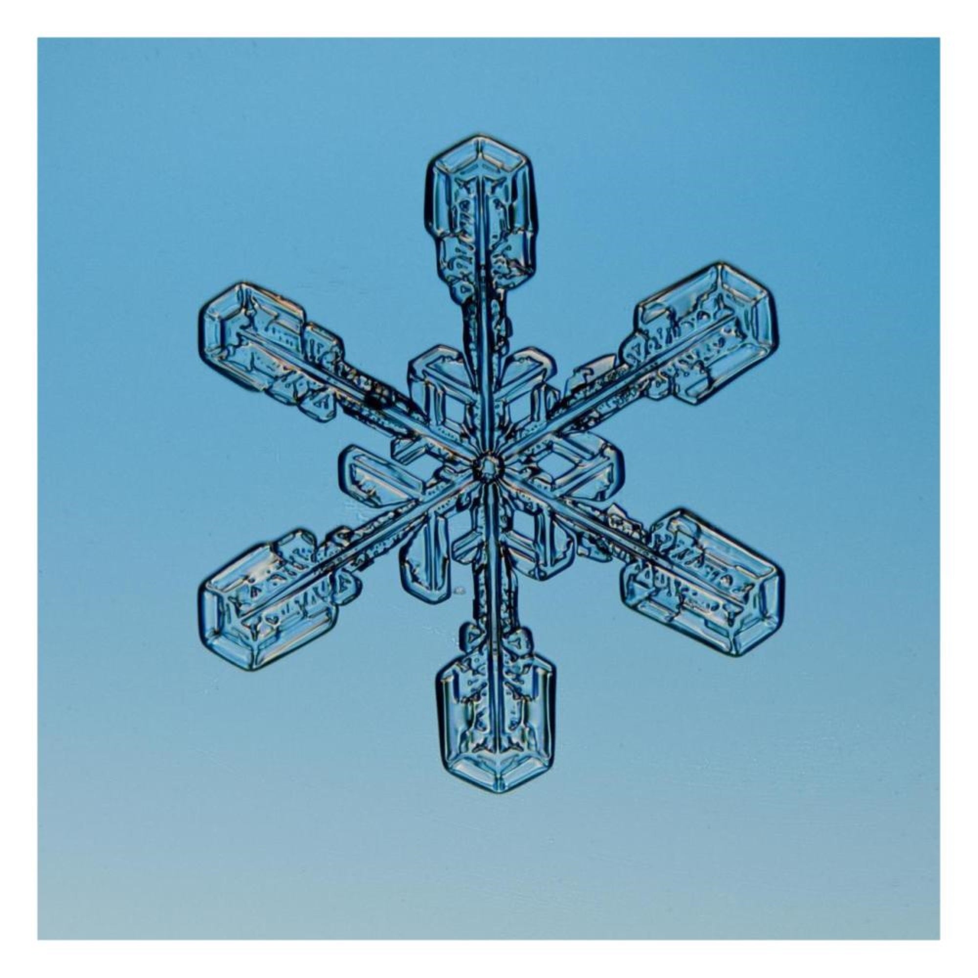 Snowflake Seen Through Microscope-Paper Art-26X26