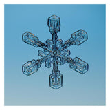 Snowflake Seen Through Microscope-Paper Art-26X26