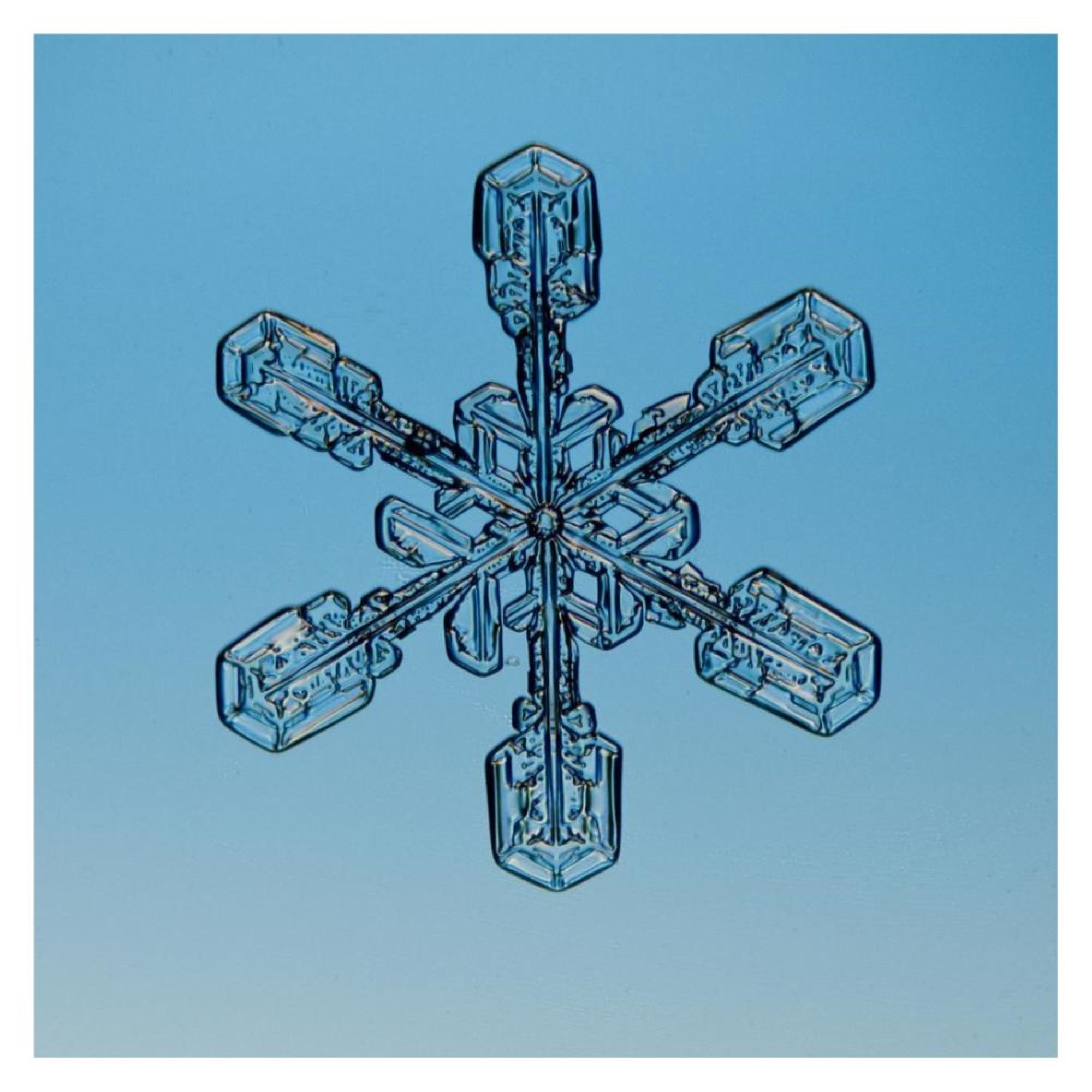 Snowflake Seen Through Microscope-Paper Art-32X32