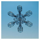 Snowflake Seen Through Microscope-Paper Art-32X32