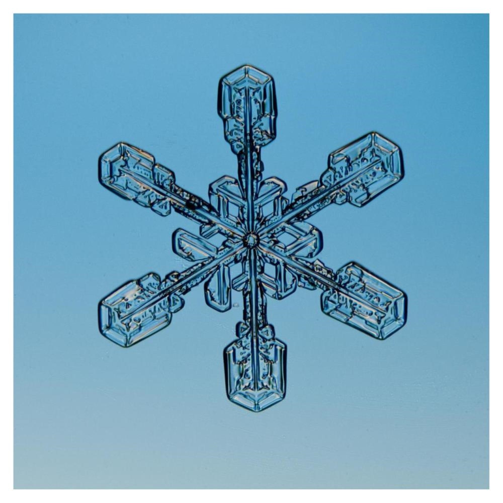 Snowflake Seen Through Microscope-Paper Art-38X38