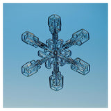 Snowflake Seen Through Microscope-Paper Art-38X38