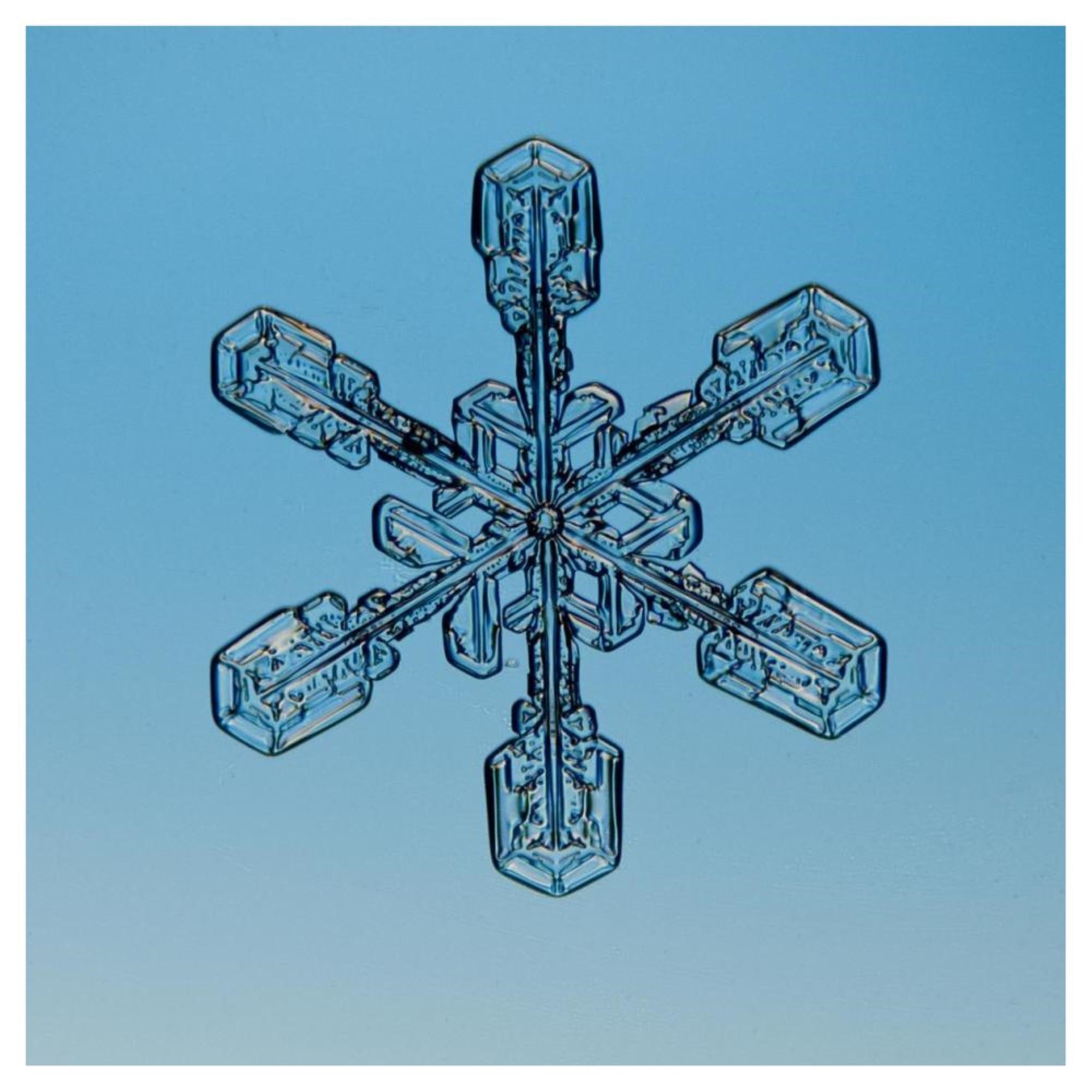 Snowflake Seen Through Microscope-Paper Art-42X42