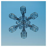 Snowflake Seen Through Microscope-Paper Art-42X42