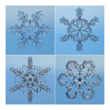 Snowflakes Seen Through Microscope-Paper Art-20X20
