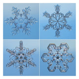 Snowflakes Seen Through Microscope-Paper Art-26X26