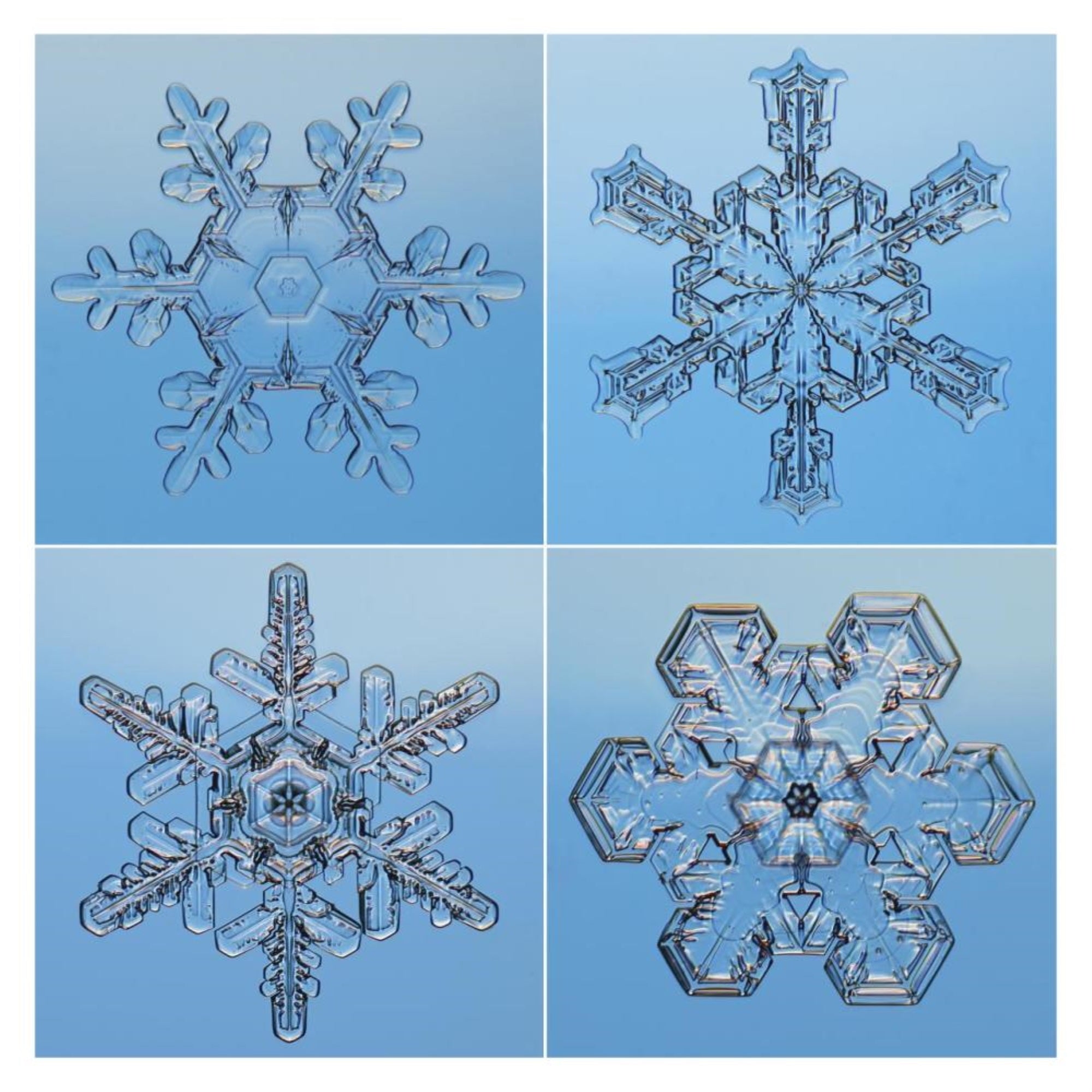 Snowflakes Seen Through Microscope-Paper Art-32X32