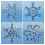 Snowflakes Seen Through Microscope-Paper Art-38X38