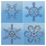 Snowflakes Seen Through Microscope-Paper Art-42X42