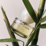 Bamboo Eau de Parfum