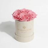 Essence Beige Suede Box | Light Pink Roses