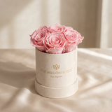 Essence Beige Suede Box | Light Pink Roses