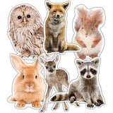 Woodland Whimsy Animals Cut-Outs, Pack of 36