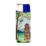 Caroline'S Treasures Ck2563Muk Michelob Ultra Hugger For Slim Cans Cold-Beverage-Koozies, Multicolor