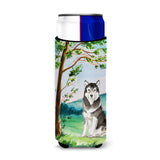 Caroline'S Treasures Ck2566Muk Michelob Ultra Hugger For Slim Cans Cold-Beverage-Koozies, Multicolor