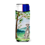 Caroline'S Treasures Ck2570Muk Michelob Ultra Hugger For Slim Cans Cold-Beverage-Koozies, Multicolor
