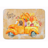 Caroline'S Treasures Fall Harvest Labradoodle Machine Washable Memory Foam Mat Doormats, Multicolor