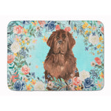 Caroline'S Treasures Newfoundland Machine Washable Memory Foam Mat Doormats, Multicolor