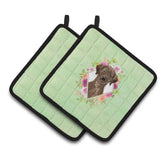 Caroline'S Treasures Ck4411Pthd Chocolate Labrador Green Flowers Pair Of Pot Holders Potholders, Multicolor
