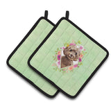 Caroline'S Treasures Ck4413Pthd Chocolate Cockapoo Green Flowers Pair Of Pot Holders Potholders, Multicolor