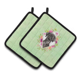 Caroline'S Treasures Ck4421Pthd Black Labrador Green Flowers Pair Of Pot Holders Potholders, Multicolor