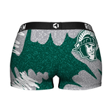 Michigan State Spartans - Team Blast